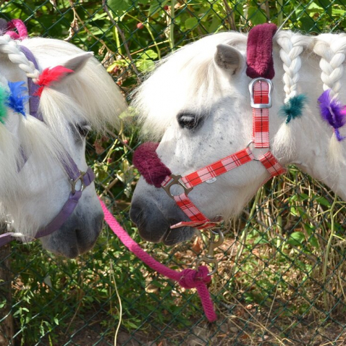 Estivales des Vallons du Lyonnais 2021