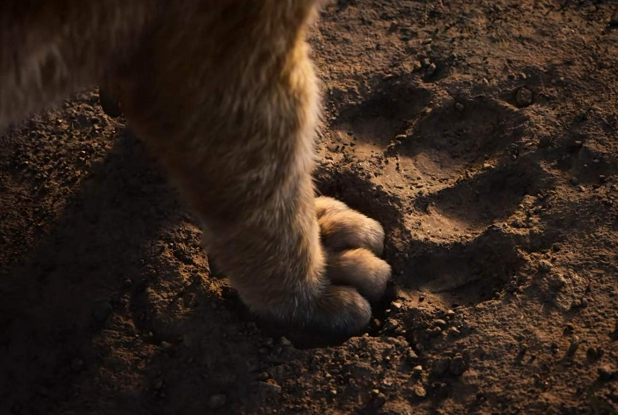 Le Roi Lion, le film - Traces de pas