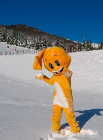 Tous à la neige !