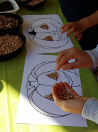 Fête de la citrouille 2018 à Epicurium