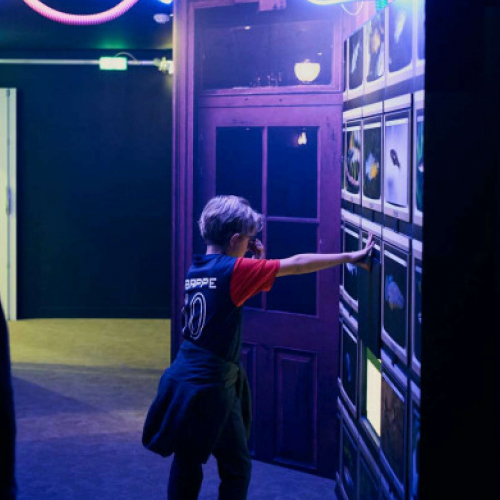 Expo "Il faut sauver le Joba Mena : enquête à Madagascar": petit garçon qui teste les expériences immersives