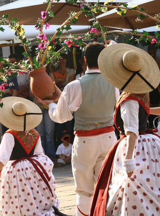 Provencales