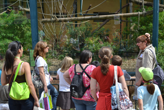 Zoo de Lyon lémuriens