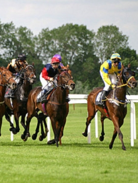 hippodrome