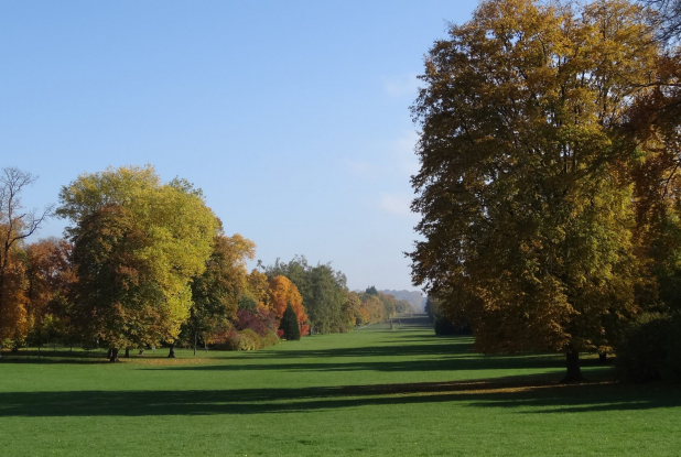 Palais de Compiègne : parc