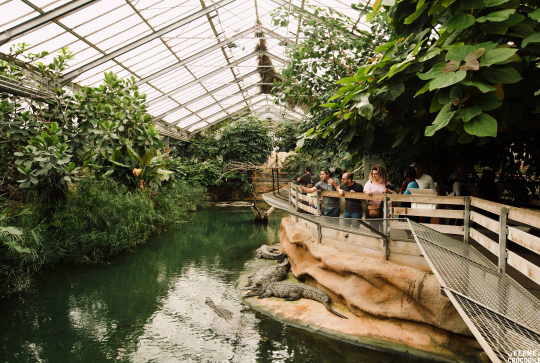 La ferme aux crocodiles