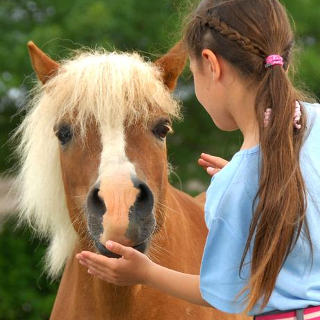 Horse Club de Bordeaux : chevaux et enfants