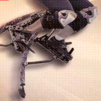 Riser Winter Cup 2017