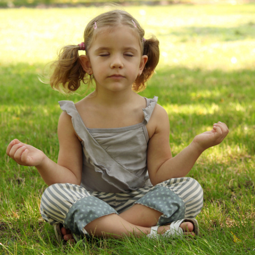 Zenfiekids