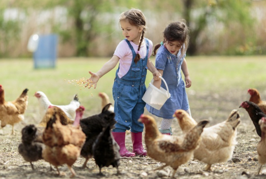 Fermes Pour Les Enfants Dans Toute La France Citizenkid