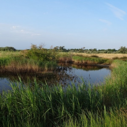 Réserve naturelle du Bagnas