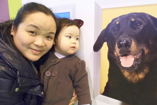 salon agriculture 2013