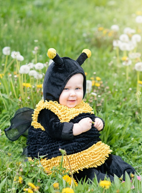 La Fête du Miel et des abeilles 2025 : Un enfant déguisé en abeille dans un jardin