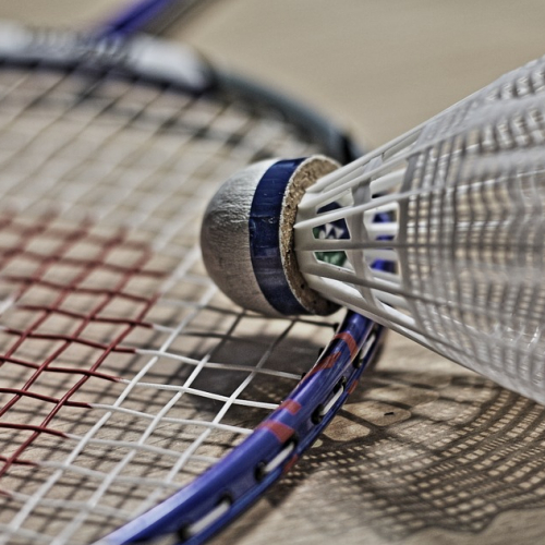 Badminton Club Barbey (BCB)