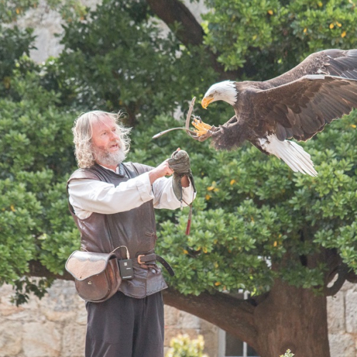 Journée médiévale au château de Vincennes