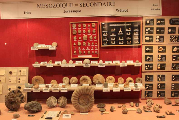 Grotte de Bosc - collection