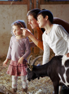 Festival Brin de culture : Famille à la ferme avec une chèvre