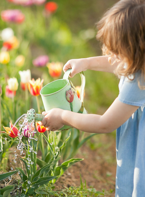 Rendez-vous aux jardins 2022 dans la région de Nantes