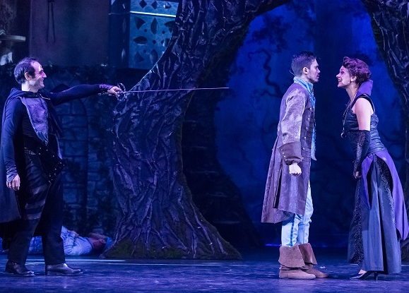 Raiponce et le prince aventurier - Guillaume Bauchède