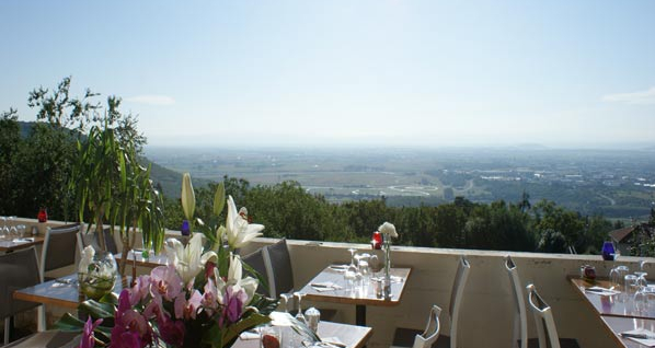 Le Vigosche
