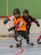 Toulouse Roller Hockey Club