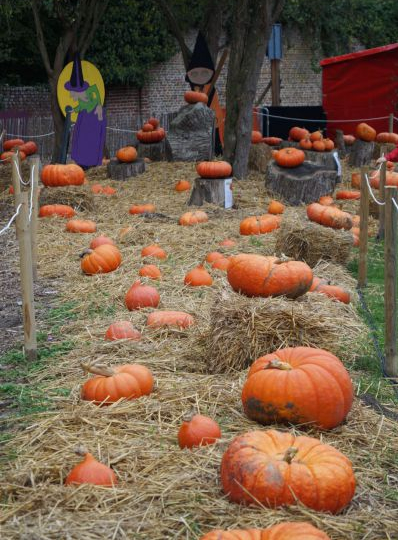 Fête de la Sorcière à Marchiennes