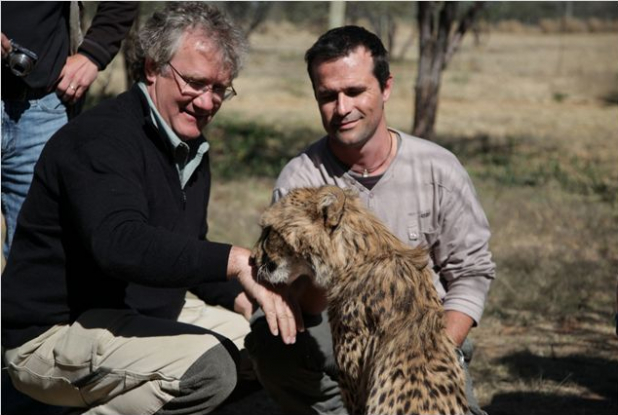 African Safari : au contact des animaux