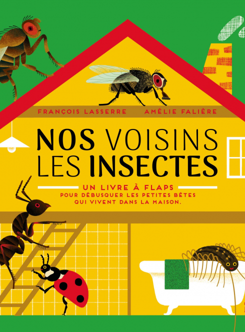 concours_nos voisins les insectes