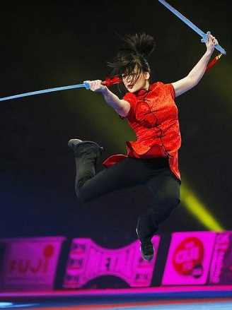 Festival des arts martiaux