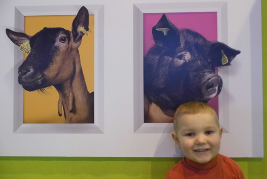 salon agriculture 2013