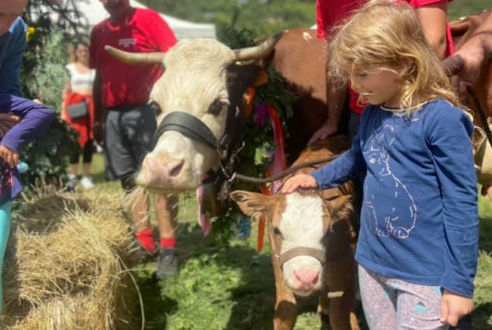 La Ferme du Mercantour