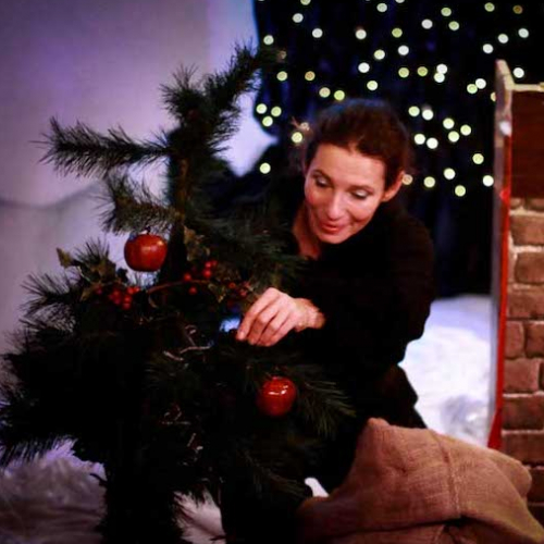 Une lumière pour Noël - Véronique Balme