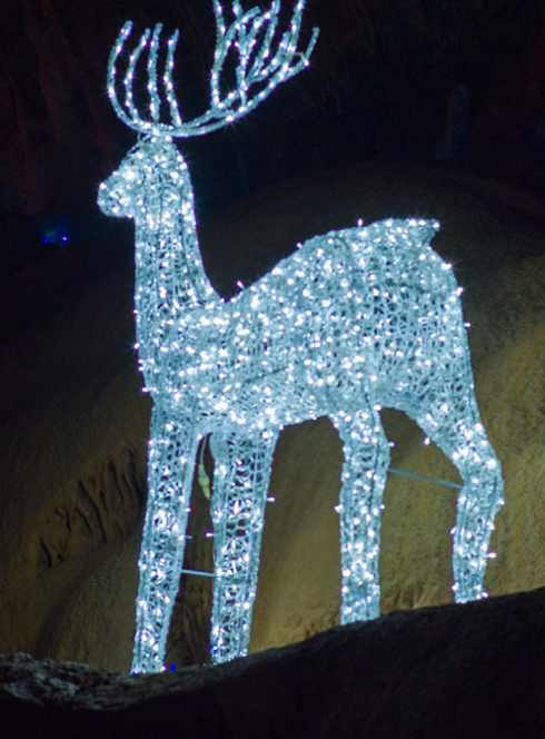 Noël au Grotte du Trabuc