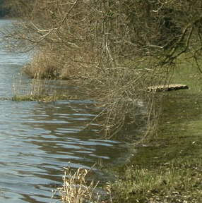 Etang de Jugon