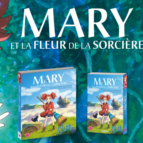 Concours Mary et la fleur de la sorcière 2