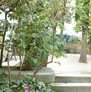 Clos des Blancs-Manteaux