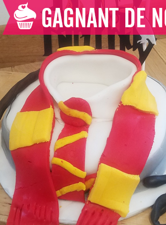 Gâteau Harry Potter aux couleurs de Griffondor