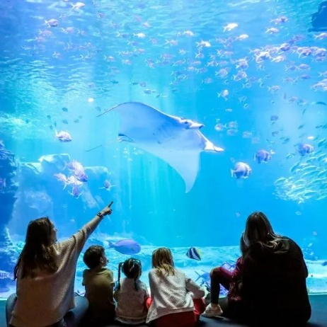 Découverte de Nausicaa