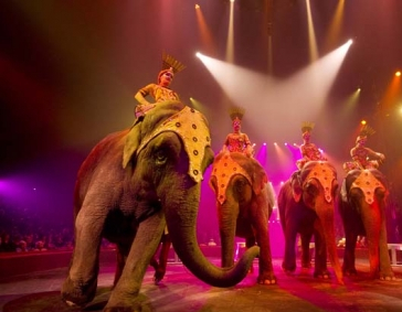 Cirque Arlette Gruss