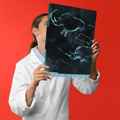 Expo Grotte Chauvet, l'aventure scientifique