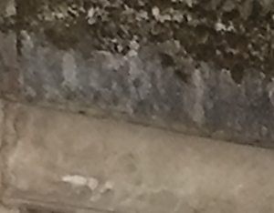 Chasse aux oeufs de Pâques à Bordeaux - famille assise