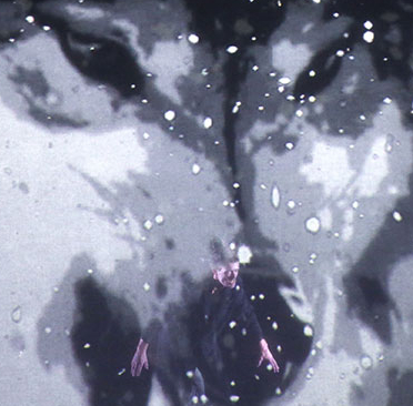 La forêt ébouriffée