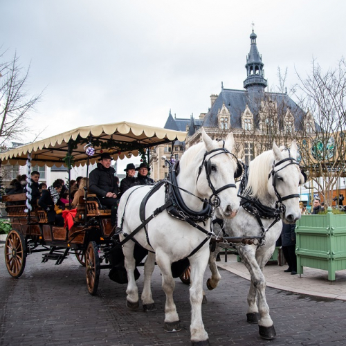 Noël 2019 à Vincennes : calèche