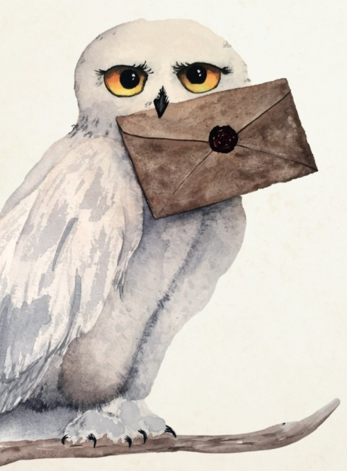 Exposition Harry Potter