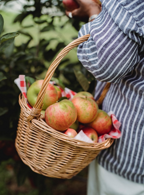 Château D'Astros : Cueillette de pommes