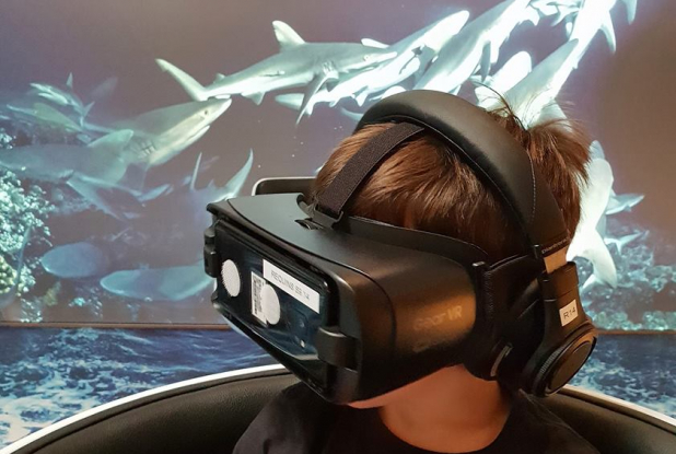 Cité de l'Océan - Réalité Virtuelle "Requins dans la nuit"