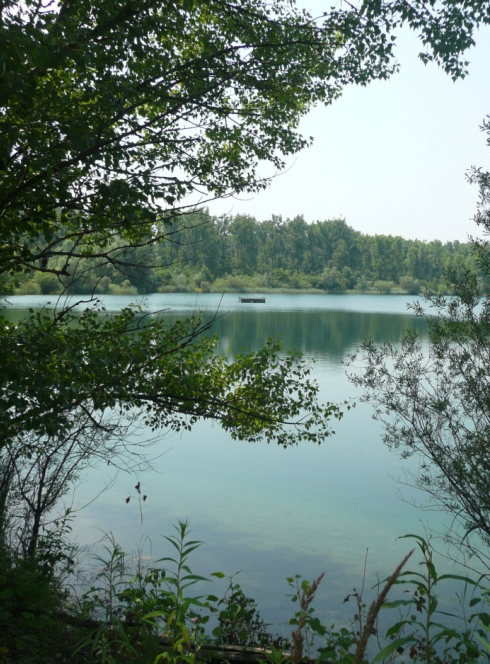 L'Ecomusée d'Alsace fête la nature