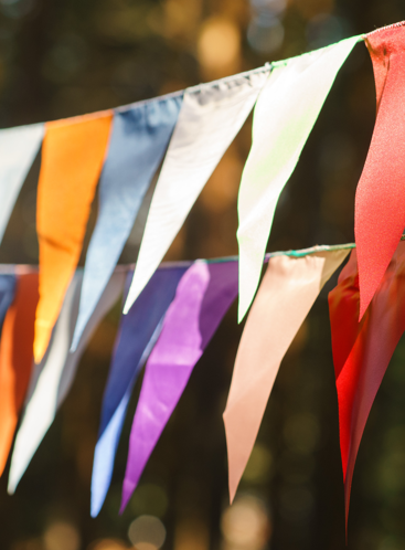 Festival Poils de Carottes