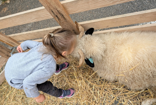 La Patte sur le Feel