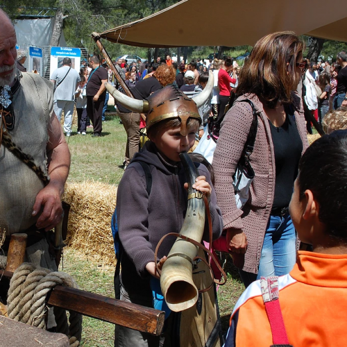 Grannus Village Gaulois 2019